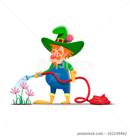 Cartoon gnome or dwarf character watering flowers. Fairy elf, fantasy dwarf or garden midget comical isolated vector personage. Fairytale gnome farmer funny character watering spring flowers with hose 102249462
