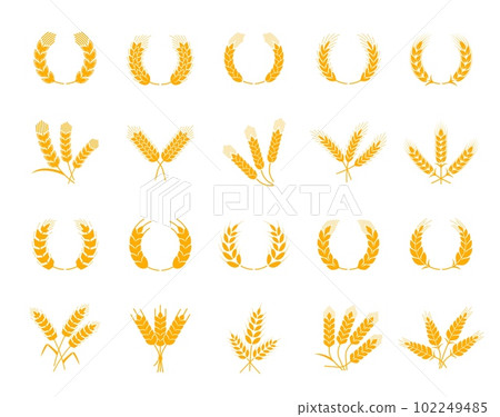 Spikes of wheat, rye and barley, laurel wreath with cereal ears, vector bakery icons. Bread products and baked food symbols of cereal ear spikes or wheat, rye or barley for organic muesli or pastry 102249485