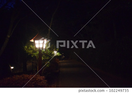 夜坡2 夜坡2 102249735