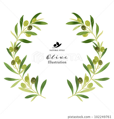 橄欖枝水彩插圖圓框 橄欖枝水彩插圖圓框 102249761