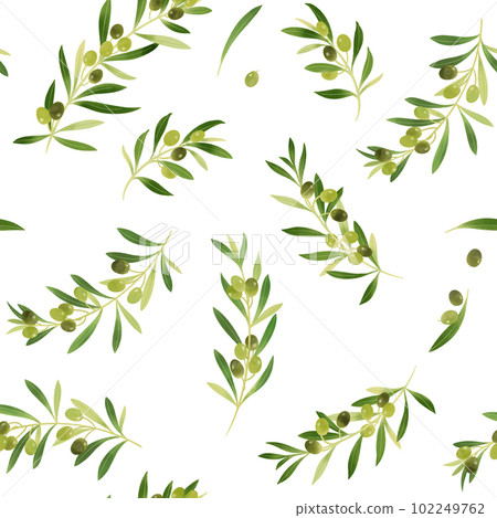 水彩插圖無盡的橄欖和樹枝圖案 102249762