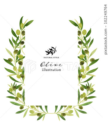Olive branch watercolor illustration square frame 102249764