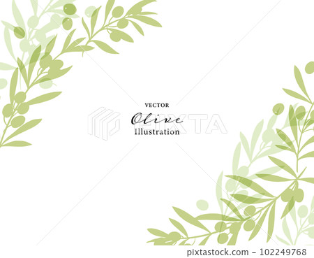 Vector illustration frame of olive branch 102249768