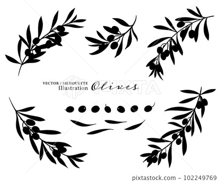Vector illustration silhouette of olive fruit and branch Vector illustration silhouette of olive fruit and branch 102249769