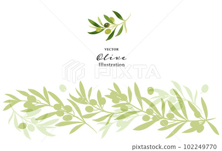Vector illustration of olive branch Garland style Vector illustration of olive branch Garland style 102249770