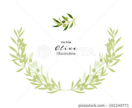 橄欖枝矢量圖，裝飾邊框 102249771