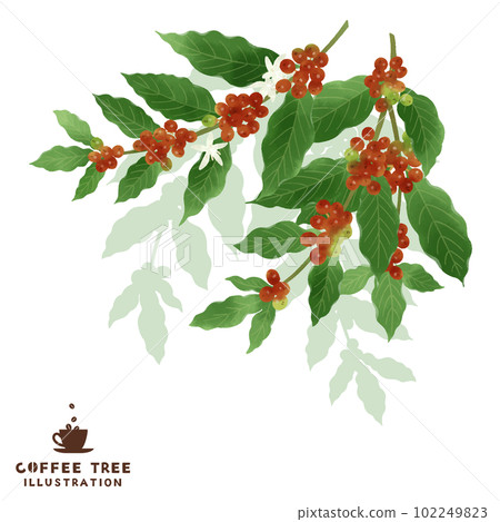 Coffee branch watercolor illustration 102249823