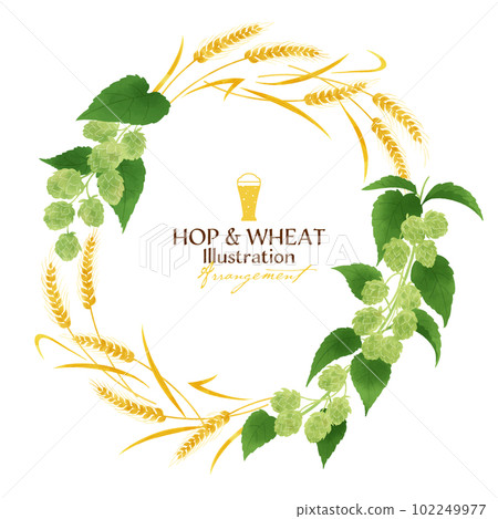 啤酒花和小麥水彩插圖集圓框 102249977