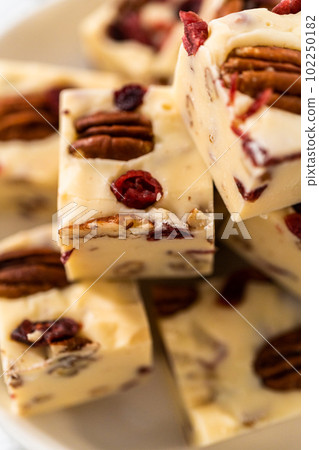 Homemade white chocolate cranberry pecan fudge pieces on a white ceramic plate. Homemade white chocolate cranberry pecan fudge pieces on a white ceramic plate. 102250182
