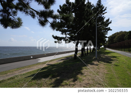 東京都江東區若洲海濱公園海怪踪蹟的風景 102250335