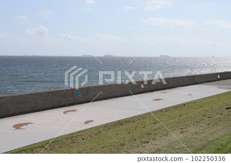 東京都江東區若洲海濱公園海怪踪蹟的風景 102250336