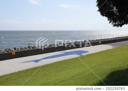 Scenery of the sea monster trail in Wakasu Seaside Park, Koto Ward, Tokyo 102250763