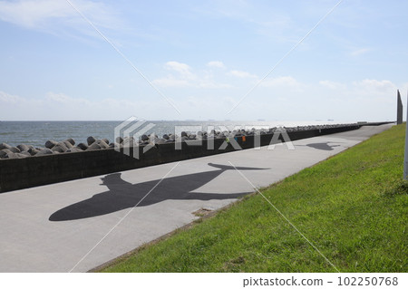 Scenery of the sea monster trail in Wakasu Seaside Park, Koto Ward, Tokyo 102250768