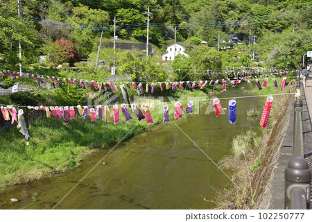 Carp streamer Carp streamer 102250777