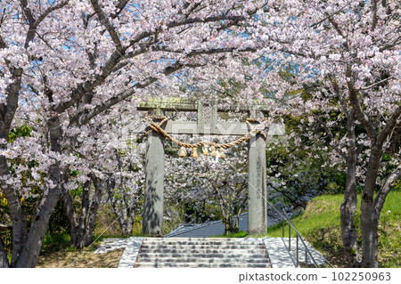 Spring Kamihachimangu-5 Spring Kamihachimangu-5 102250963