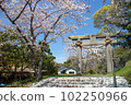 春天上八幡宮7 102250966