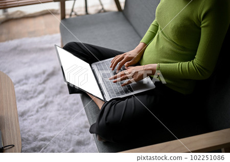 A woman using her laptop on a sofa in a living room. work from home, free time, leisure 102251086