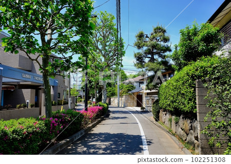 Row of houses in Tokiwadai 2-chome, Itabashi-ku, Tokyo Row of houses in Tokiwadai 2-chome, Itabashi-ku, Tokyo 102251308
