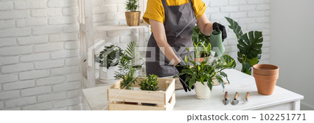 Gardening home banner copy space. Close-up female replanting and watering green plant from watering can in home. Potted green plants at home, home jungle, floral decor. Florist shop concept 102251771