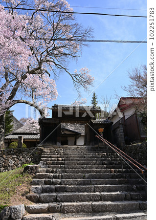 高遠城跡 新德館 高遠城跡 新德館 102251783
