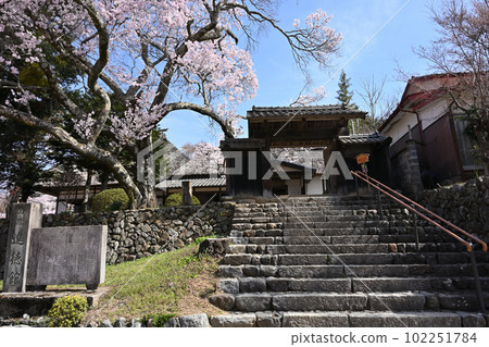 高遠城跡 新德館 高遠城跡 新德館 102251784