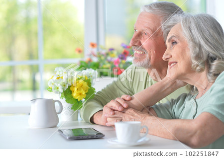 Happy senior couple with tablet 102251847
