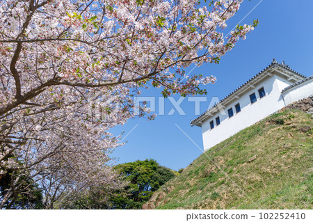 櫻花盛開的富岡城跡-1 櫻花盛開的富岡城跡-1 102252410