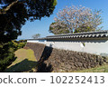 櫻花盛開的富岡城跡-3 102252413