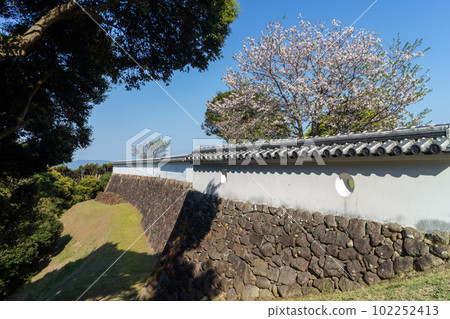 櫻花盛開的富岡城跡-3 櫻花盛開的富岡城跡-3 102252413