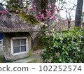 Kyoto Rakuchu: Kitano Tenmangu Shrine 102252574