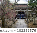 Kyoto Rakuchu: Kitano Tenmangu Shrine 102252576