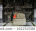 Kyoto Rakuchu: Kitano Tenmangu Shrine 102252580