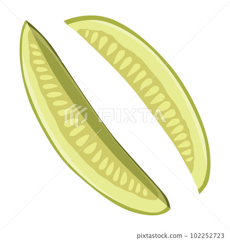 Homemade pickled cucumber. Clip-art of marinated food for packaging, label, menu, signboard or showcase. Fermented veggies, crunch gherkin with salt. Healthy vegetarian food 102252723