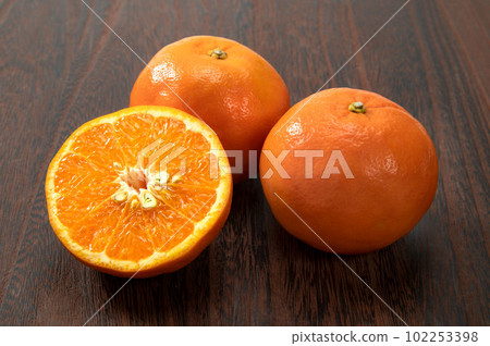 citrus seminole 102253398