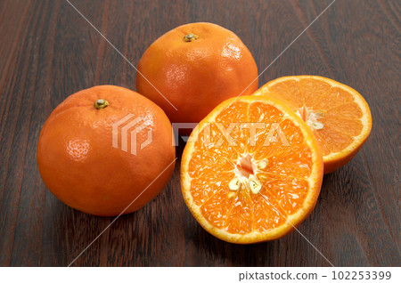 柑橘精子 102253399