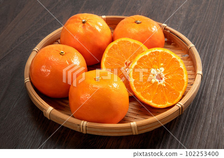 citrus seminole 102253400