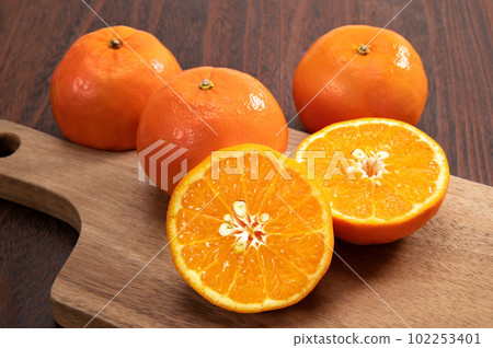 citrus seminole 102253401