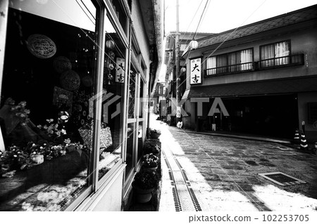 由布院町 湯之平溫泉 溫泉街 別府 102253705