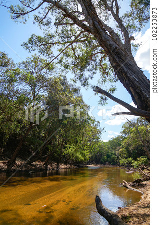 ocher river in outback australia ocher river in outback australia 102253873