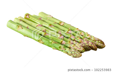 bunch of fresh green raw asparagus isolated on white background. 102253983
