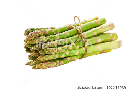Fresh organic green asparagus isolated on white background. Bunch of fresh asparagus. Fresh organic green asparagus isolated on white background. Bunch of fresh asparagus. 102253989