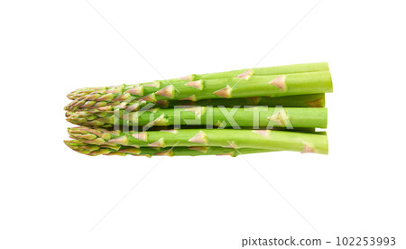 fresh sprouts asparagus isolated  isolated on white background. fresh green asparagus isolated. 102253993