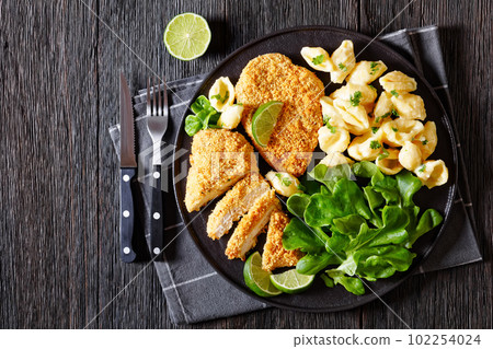 breaded chicken fillet with alfredo pasta shells breaded chicken fillet with alfredo pasta shells 102254024