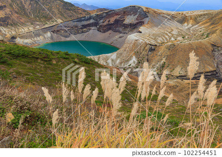 宮城縣_藏王岡秋天蒲葦的美麗景色 102254451