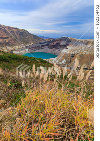 宮城縣_藏王岡秋天蒲葦的美麗景色 102254452