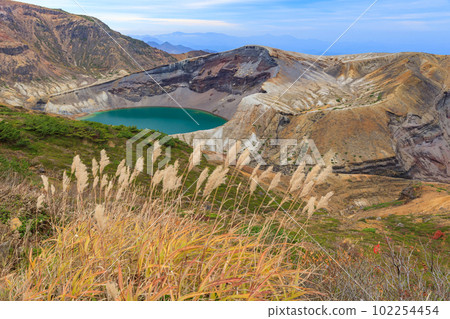 宮城縣_藏王岡秋天蒲葦的美麗景色 102254454