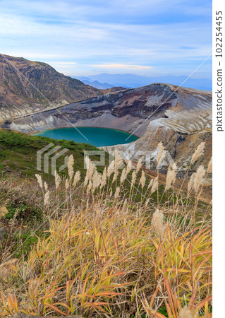 宮城縣_藏王岡秋天蒲葦的美麗景色 102254455