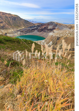 宮城縣_藏王岡秋天蒲葦的美麗景色 102254456