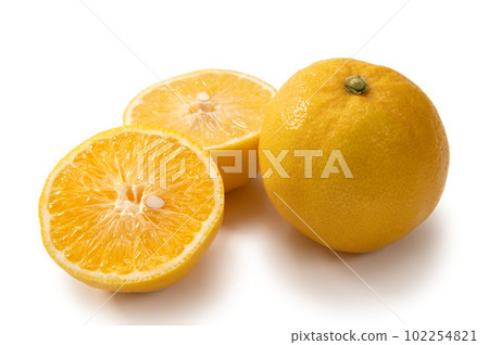 Citrus sweet lemon, lemonade 102254821
