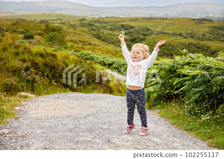 Cute little happy toddler girl running on nature path in Connemara national park in Ireland. Smiling and laughing baby child having fun spending family vacations in nature. Traveling with small kids 102255117